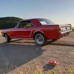 Marco's Mustang