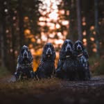 𝗡𝗲𝗿𝗲𝗹𝗹𝗼