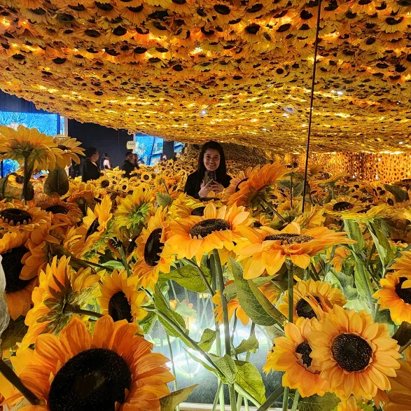 ~ Vane Vane ✨👻🤍