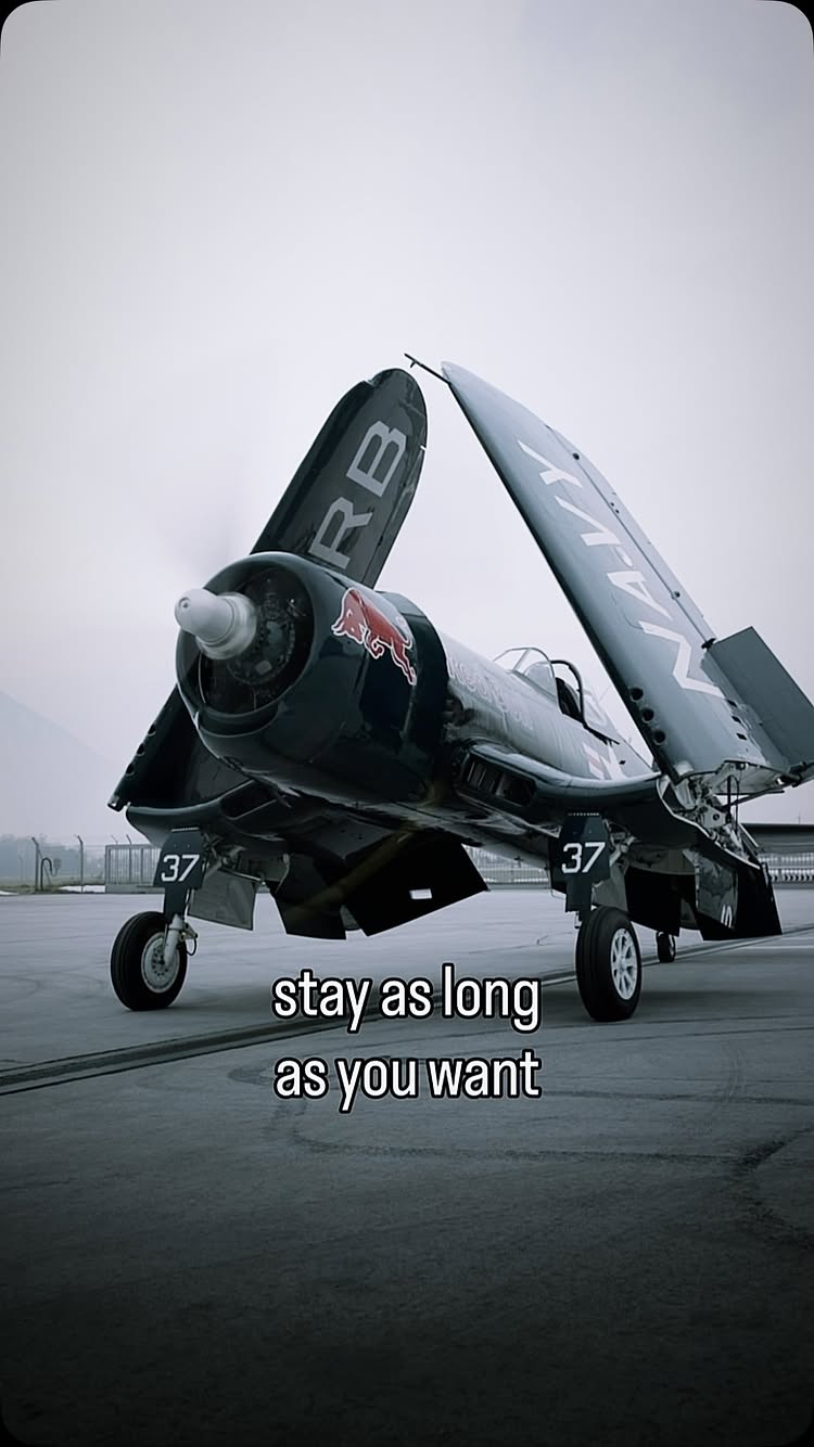The Flying Bulls