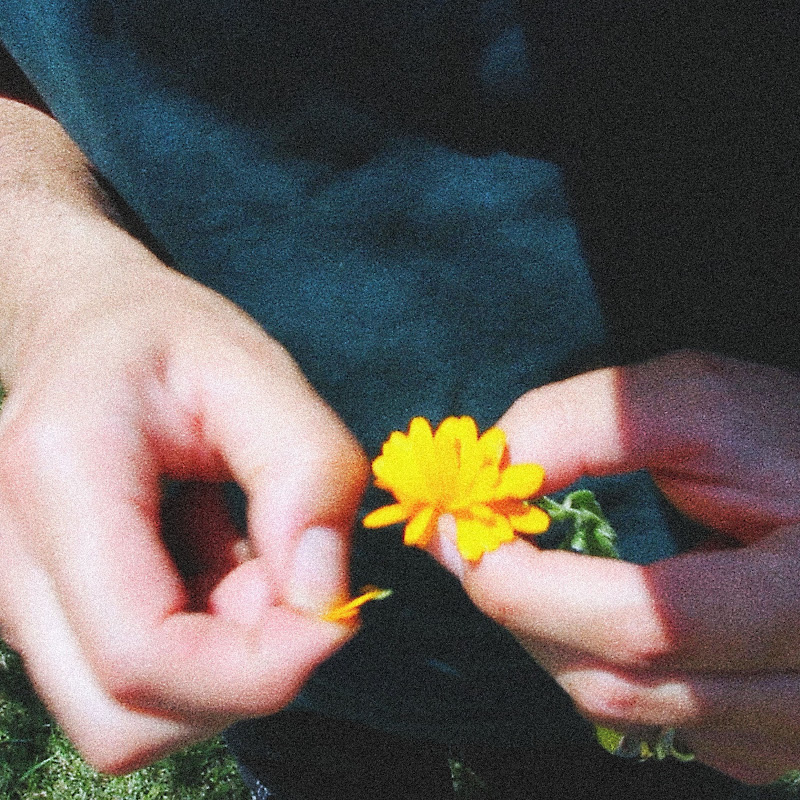 Zakeh