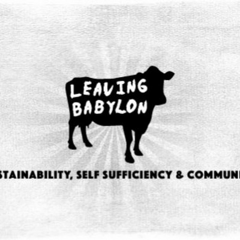 leaving babylon