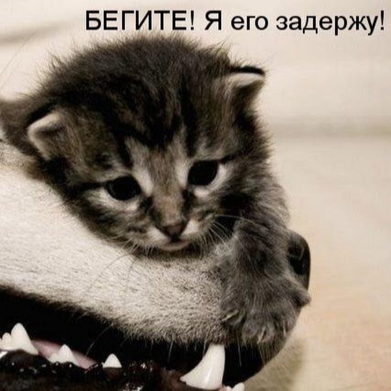 Письма к Луцилию