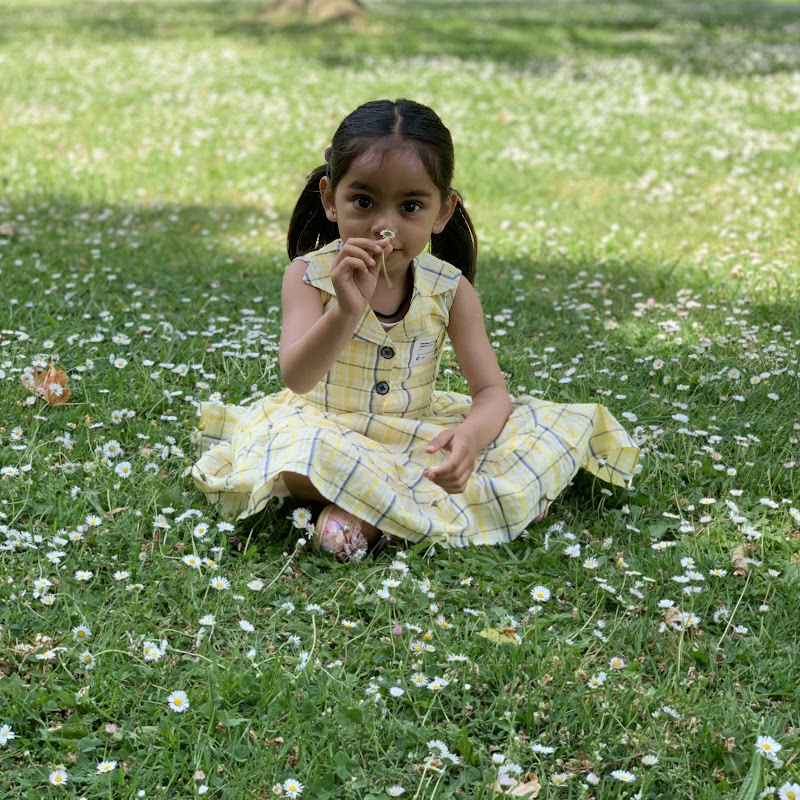 Pravi toor