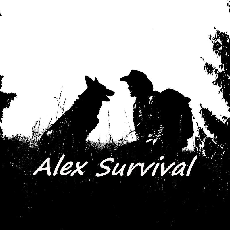 Alex Survival