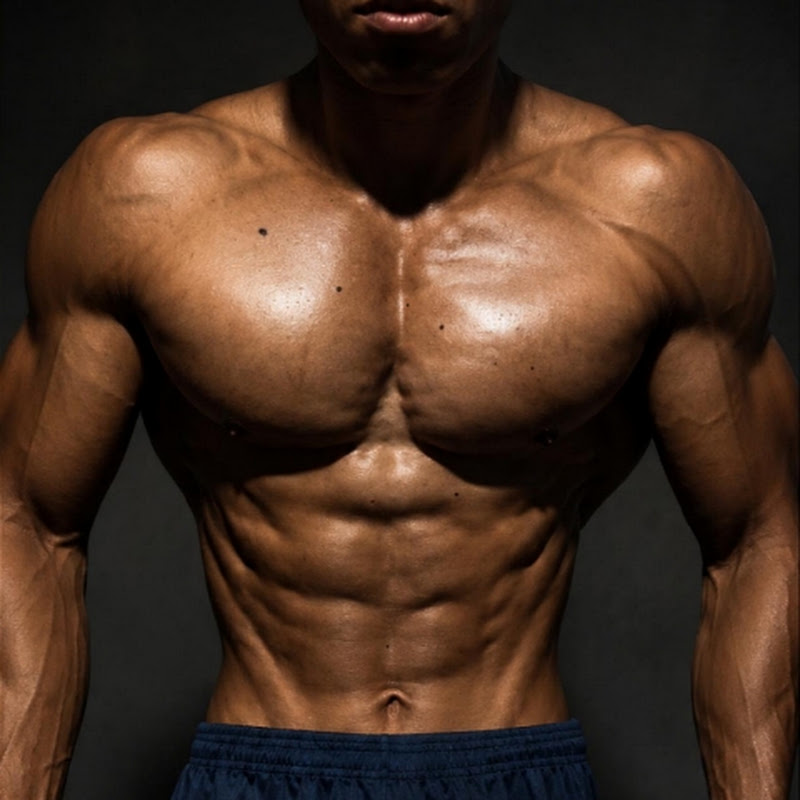 cheobkm muscle fit