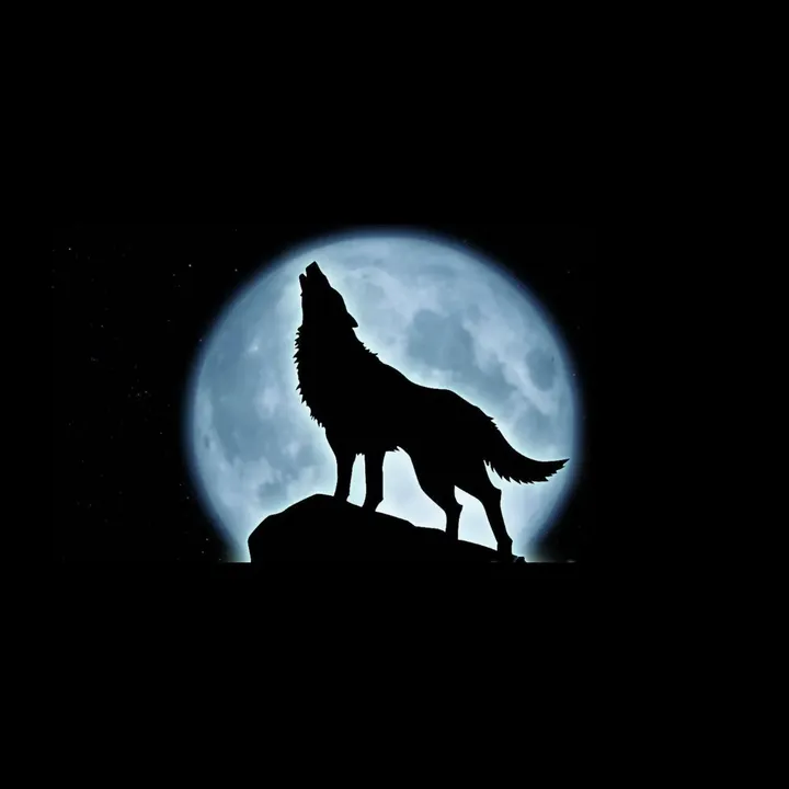 💥❤️‍🔥𝕵ᕔᕓꗛᗫ Ҝዛᕔ₦ 🐺❤️‍🔥💥