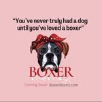 Boxer Moms