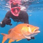 Valentin Galliero / Spearfishing School / Vall Woodwork