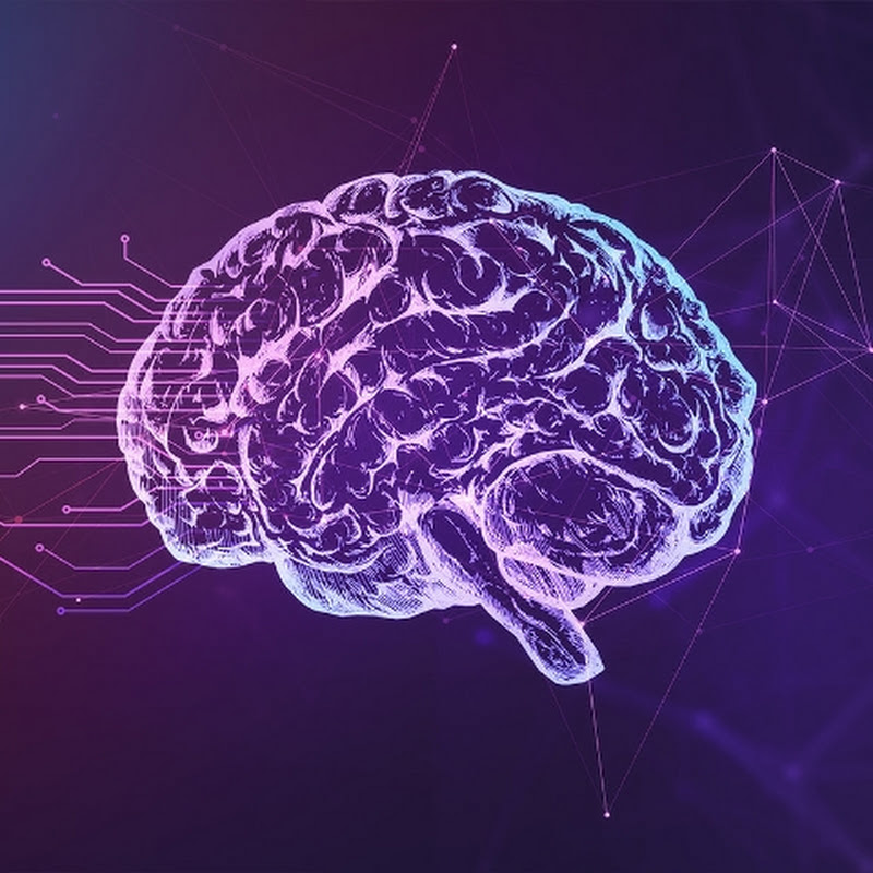 Kiến Thức Mỗi Ngày