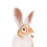 Louis 🐰✨  Marie 🐰✨