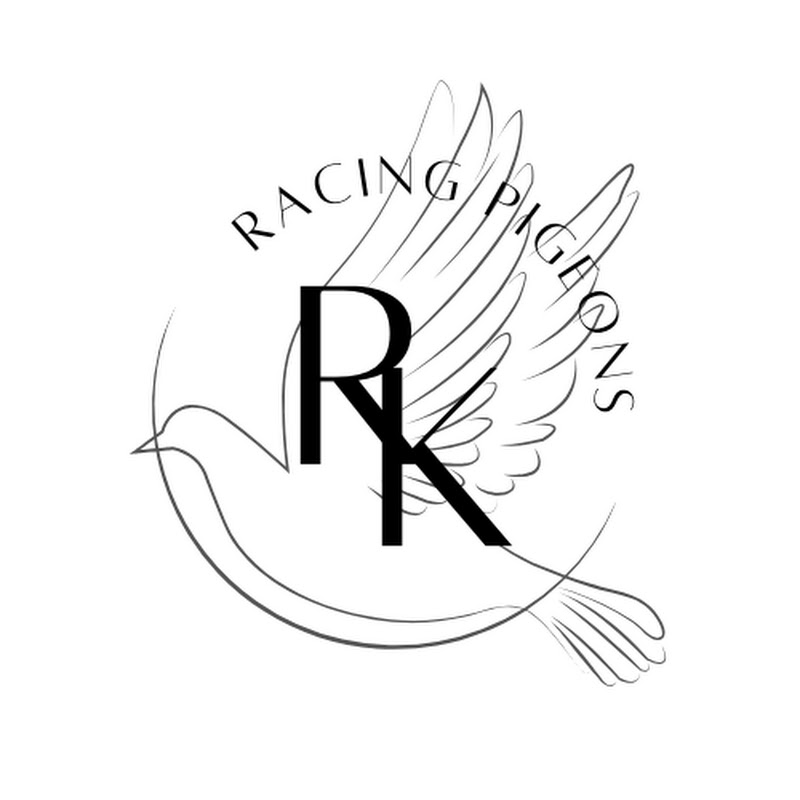 Roy Kranendonk RacingPigeons