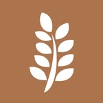 The Source Bulk Foods