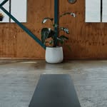 Yoga Everyday