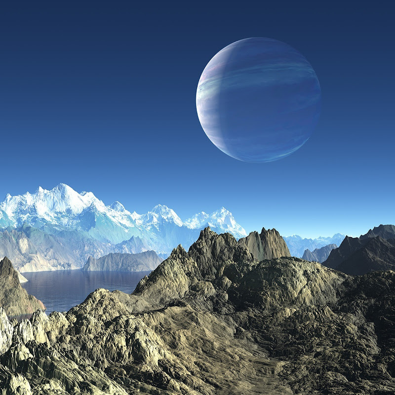 FutureVerse & Beyond