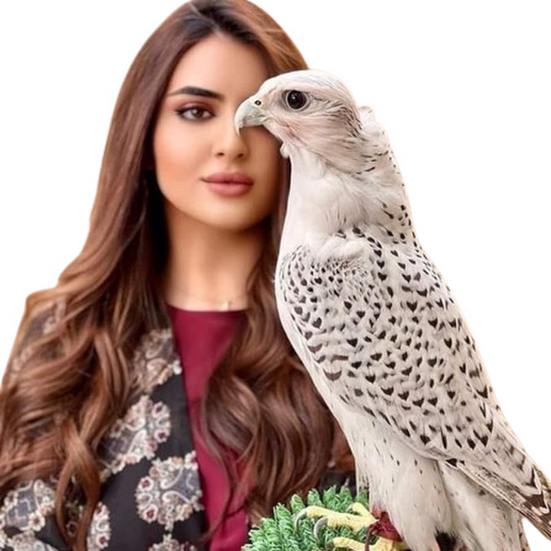 Western official’s