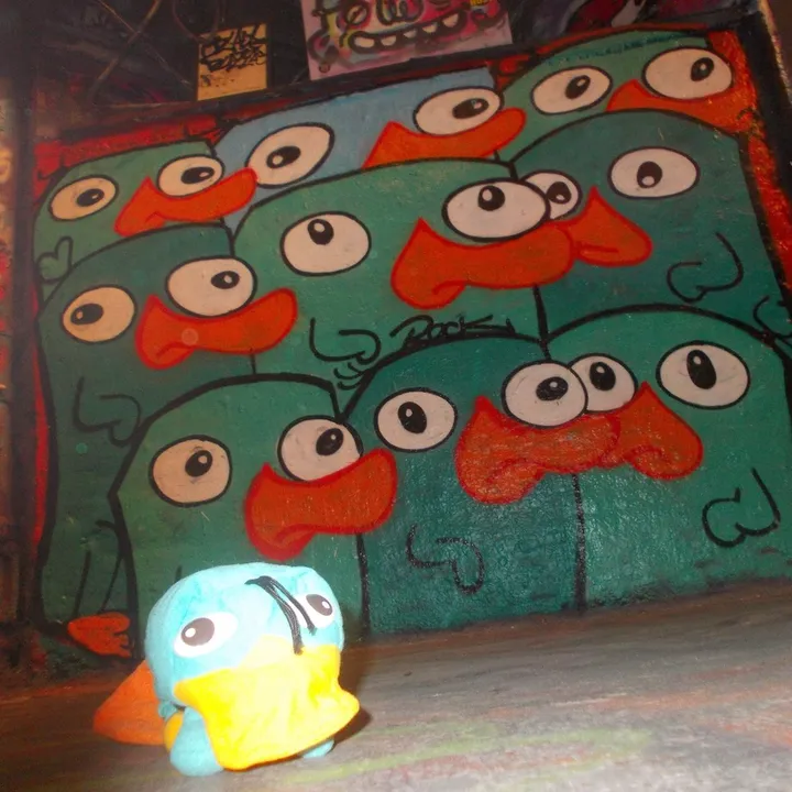 rdck
