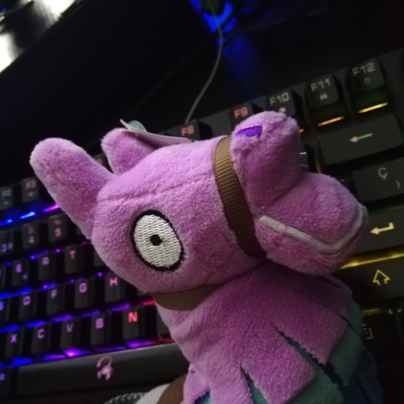 ViejoMcFly