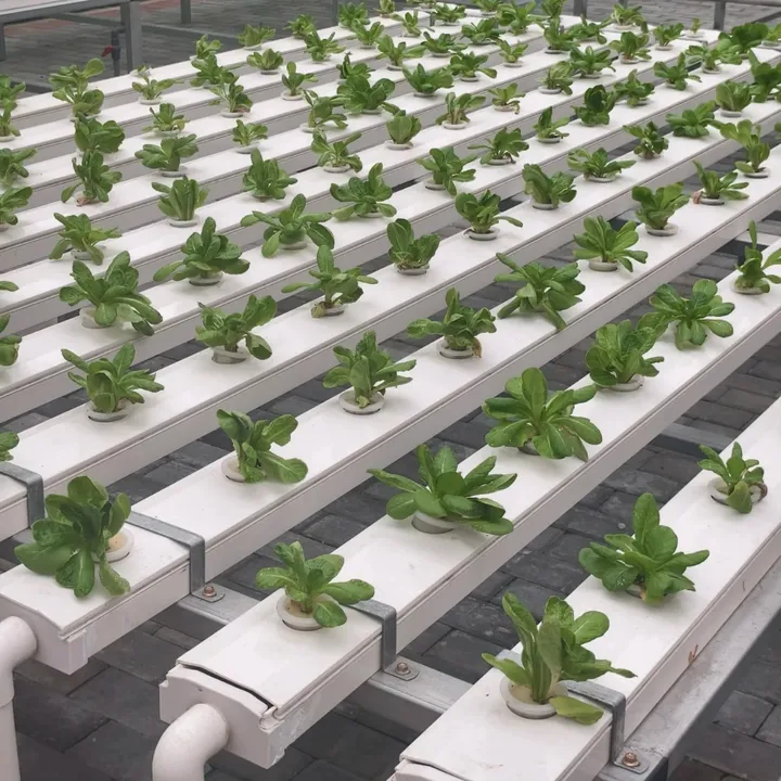 Hydroponic systems