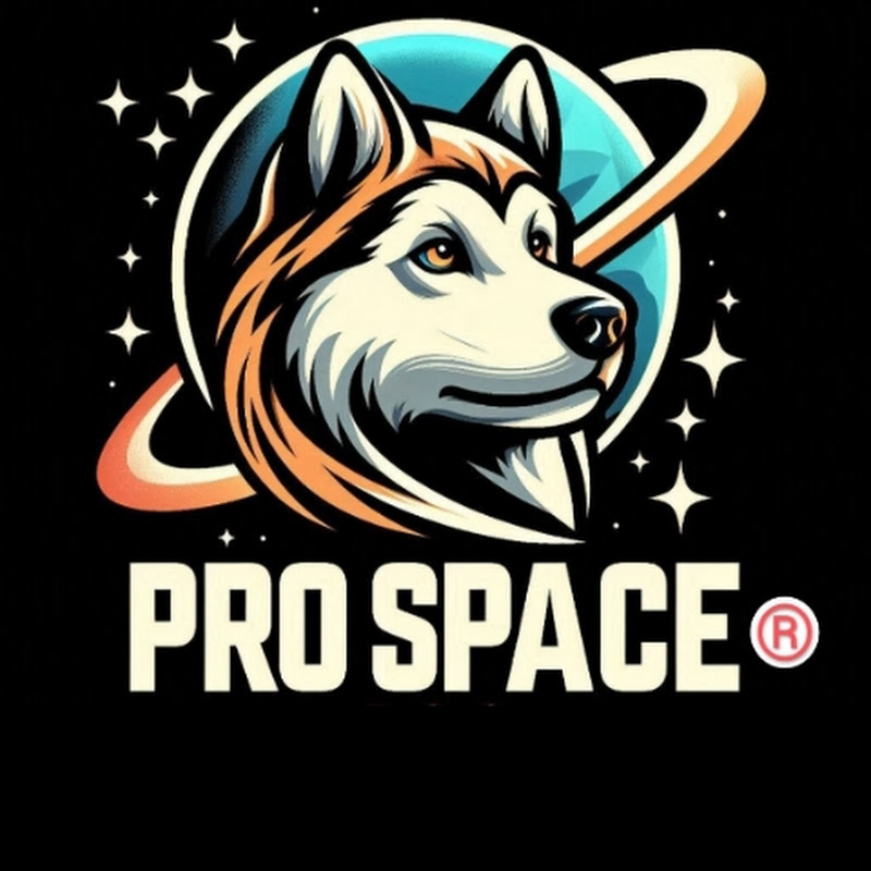 Pro Space