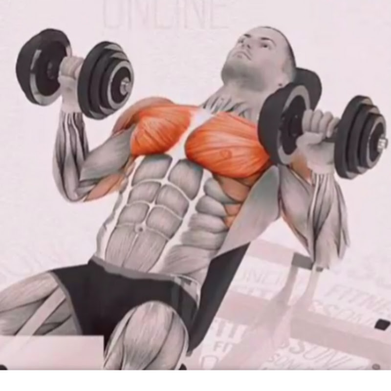 good gym كابتن مصر 