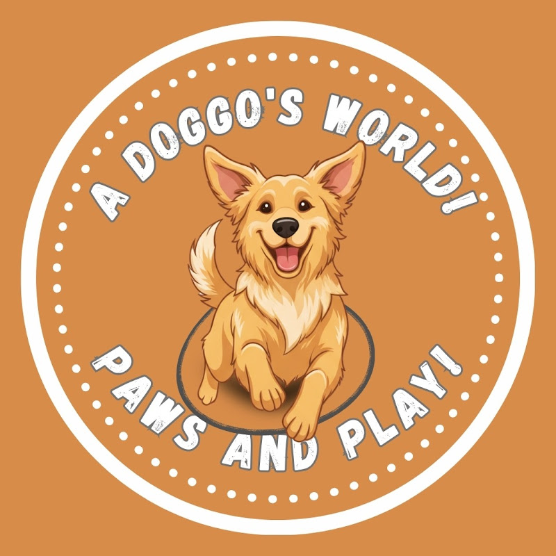 A Doggo's World! Paws and Play!