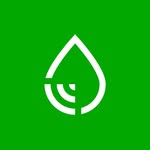 MoneyDrop