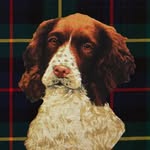 𝑻𝒉𝒆 𝑷𝒓𝒆𝒑𝒑𝒚 𝑺𝒑𝒂𝒏𝒊𝒆𝒍