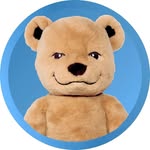 Meddy Teddy