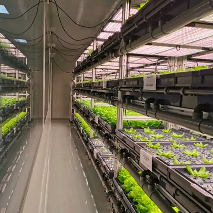 Container Farming