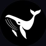 Explaining The Ocean