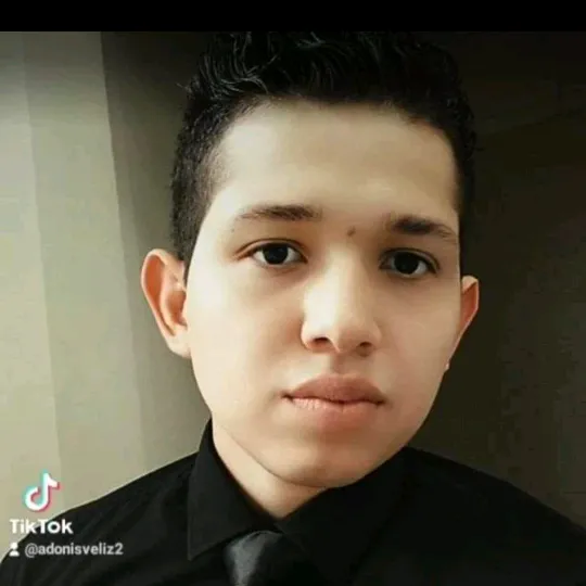 Adonis Veliz