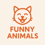 Funny Animals hub