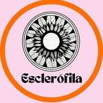 Esclerófila, Cosmética Vegana Santiago RM