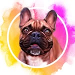 Paco 🤎🐾