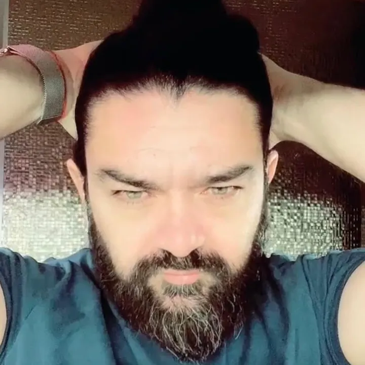 Gato_CL
