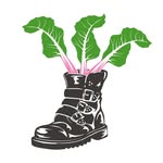 She Grows Veg Ltd