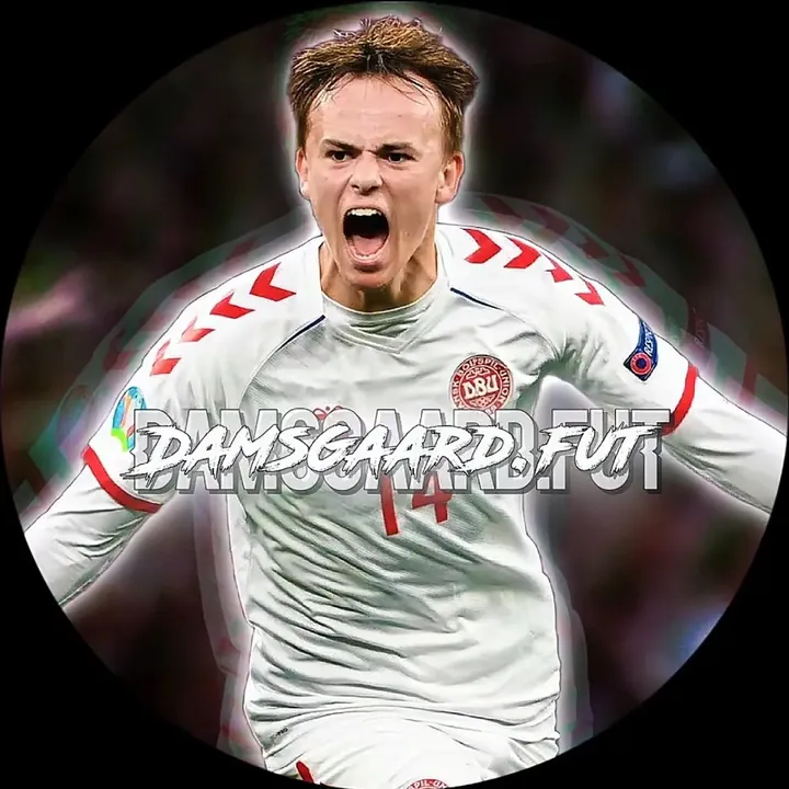 damsgaard.fut