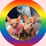 Alma & Hermine 🐶 Smiles | Training | Language 🐶