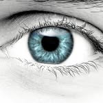 OPTIC&VISION / ART OPTICAL