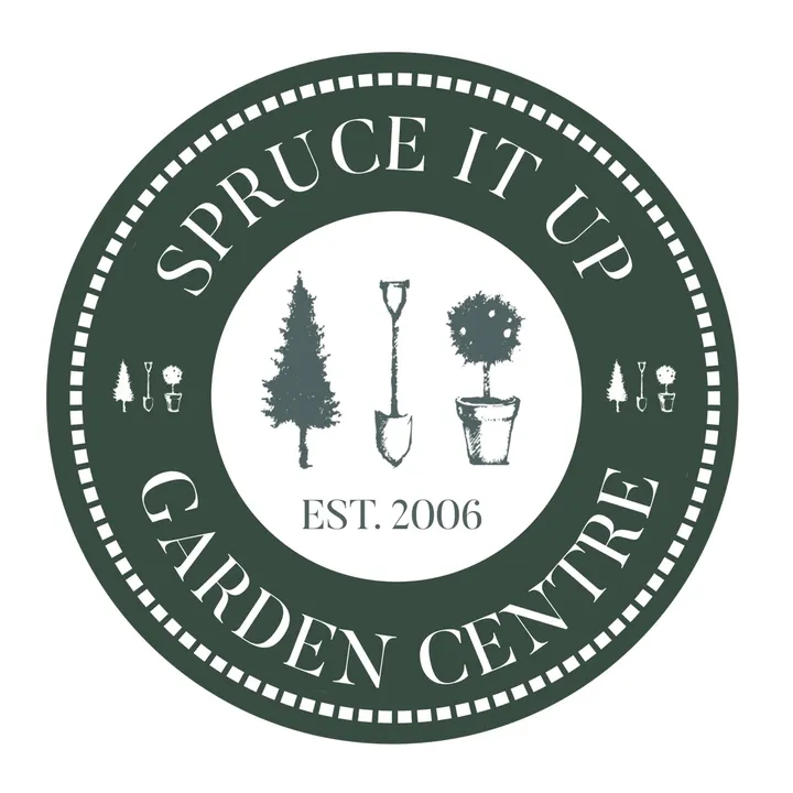 Spruce It Up