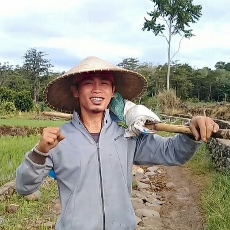 jpd PETANI