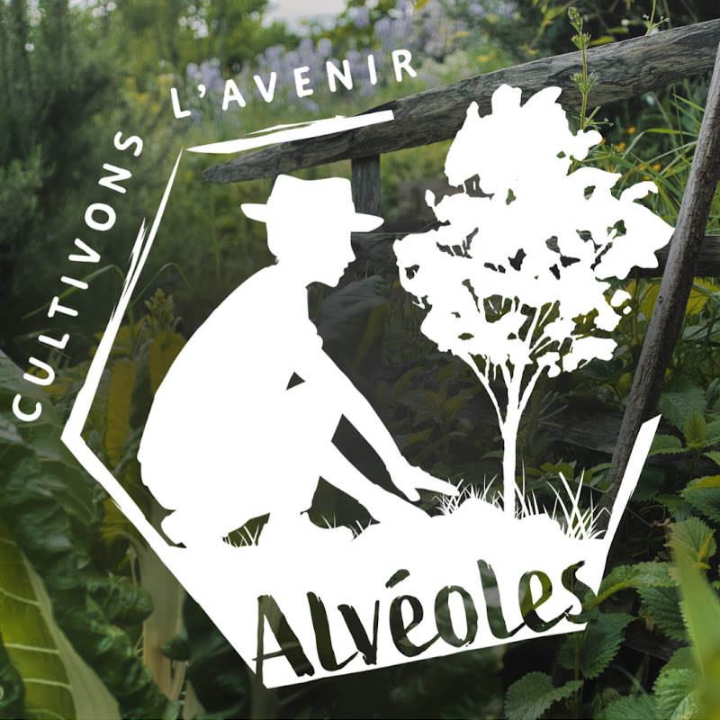 Les Alvéoles - Permaculture et Autonomie
