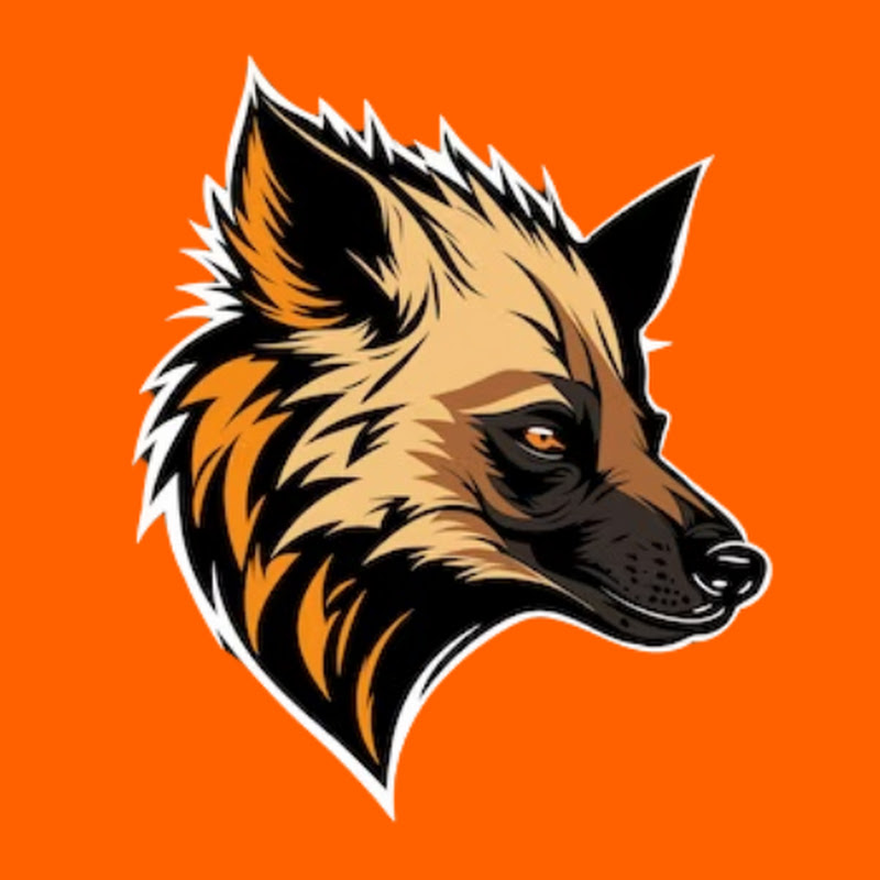 FoxSucksAtGaming 