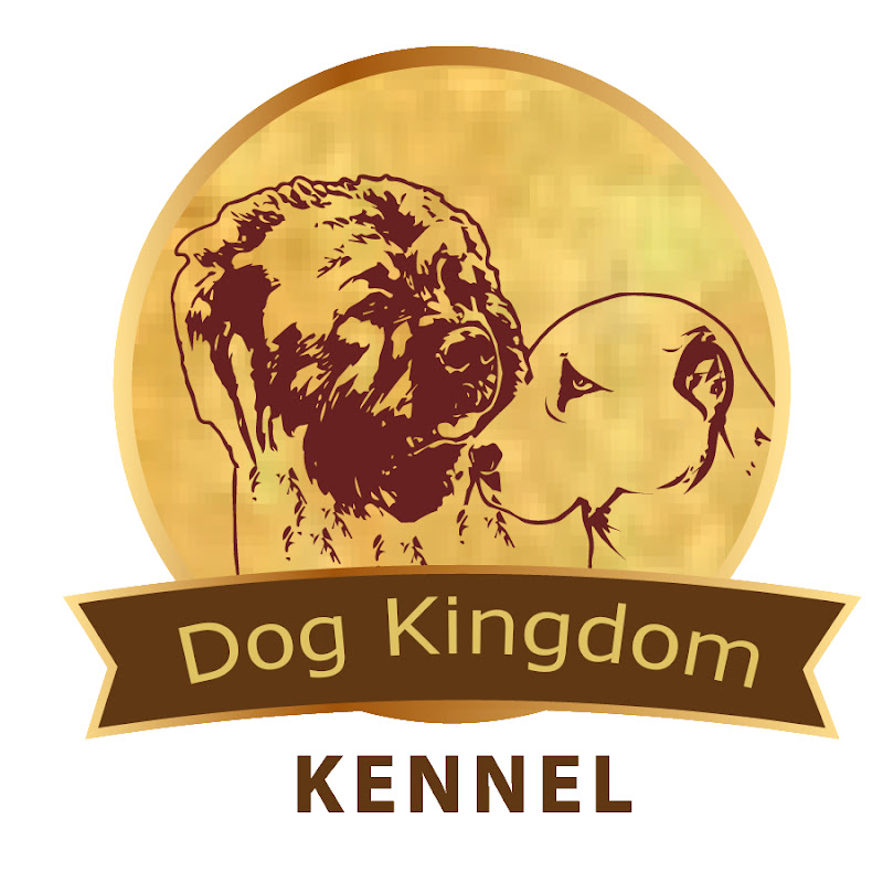 Dogkingdomkennel