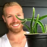 Kalem | TheKiwiGrower