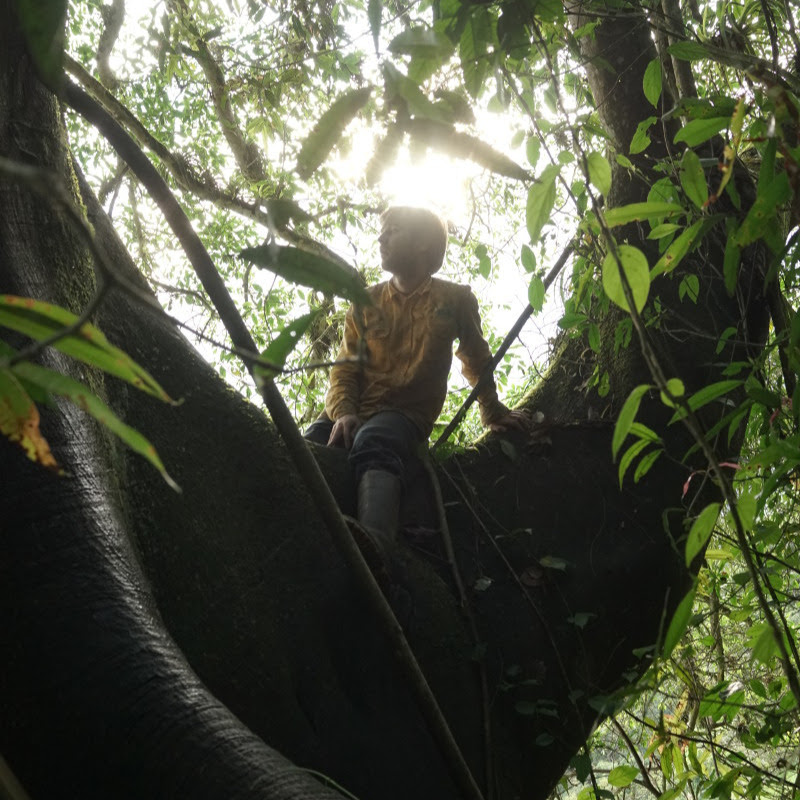 Cloud Forest Lab : El Tunjo