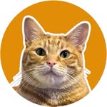 Phillip The Cat