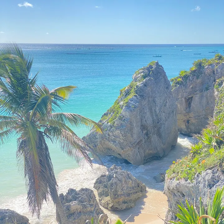 bellbythebeach