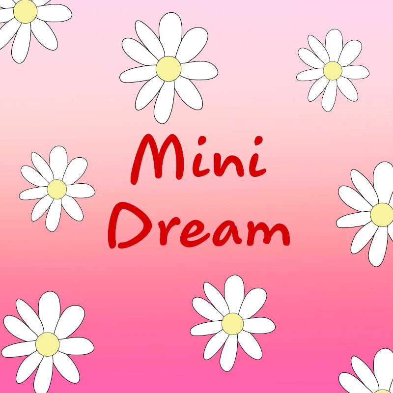 MiniDream Paper